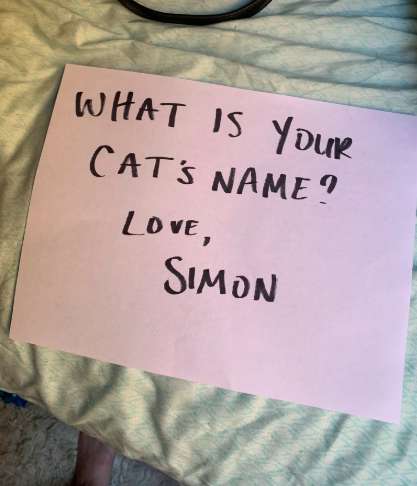Cats See Each Other Every Day Through Window And Fall In Love