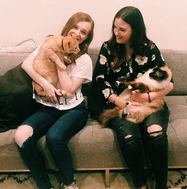 Cats See Each Other Every Day Through Window And Fall In Love