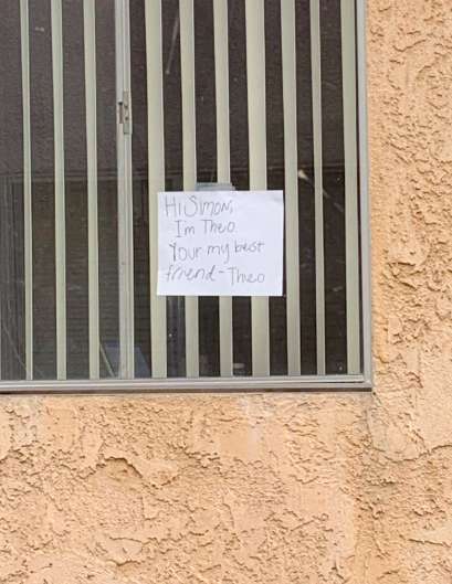 Cats See Each Other Every Day Through Window And Fall In Love