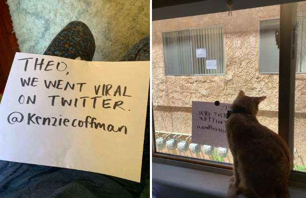 Cats See Each Other Every Day Through Window And Fall In Love