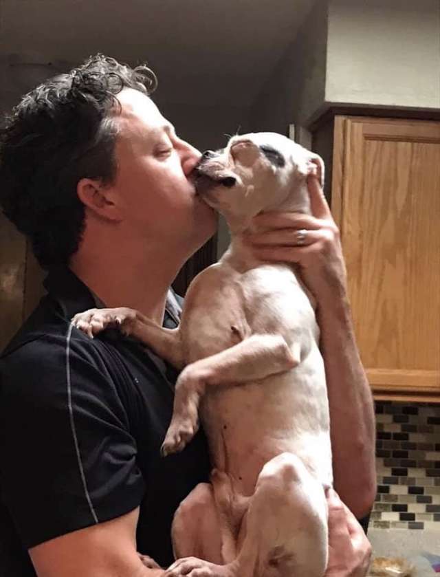Dad Is Moved To Tears After Seeing A familiar Face On The Pillow