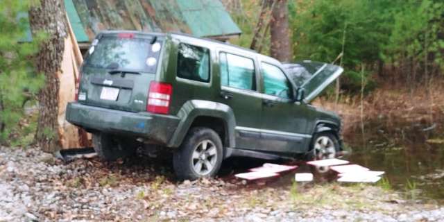 Family Dog Pulls Her Brother Out Of Car After The Car Crashes Into A Tree