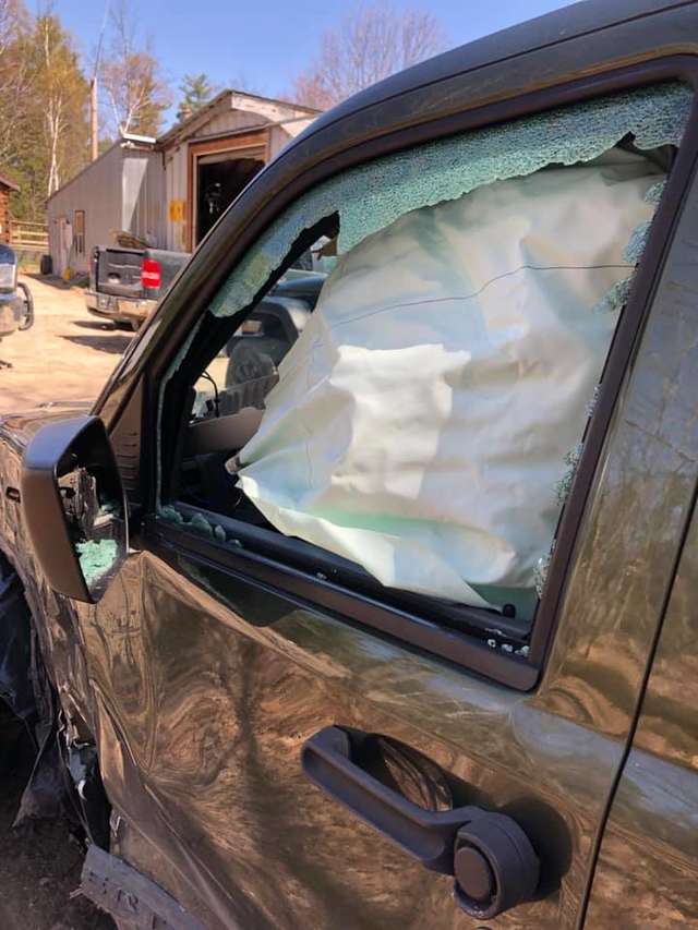 Family Dog Pulls Her Brother Out Of Car After The Car Crashes Into A Tree