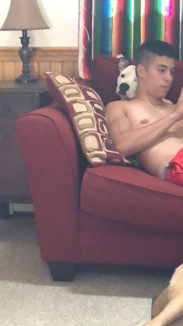 Family Dog Pulls Her Brother Out Of Car After The Car Crashes Into A Tree