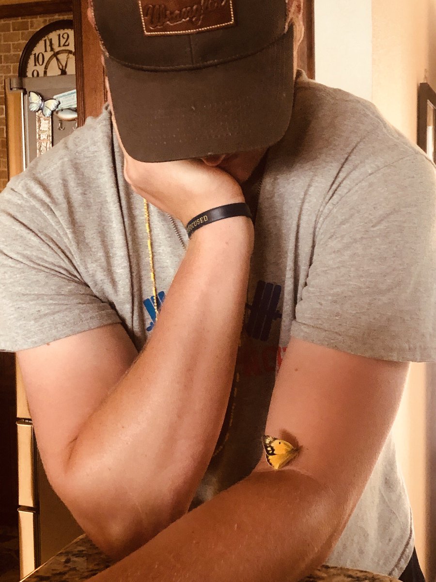 College Guy Gets A Magical Visit From A Yellow Butterfly