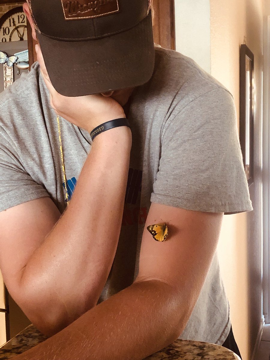 College Guy Gets A Magical Visit From A Yellow Butterfly