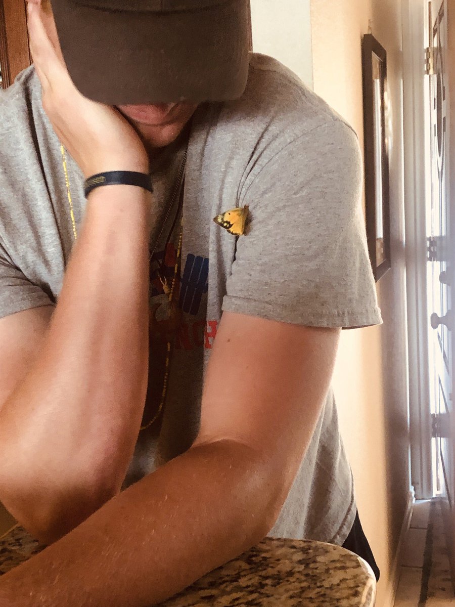 College Guy Gets A Magical Visit From A Yellow Butterfly