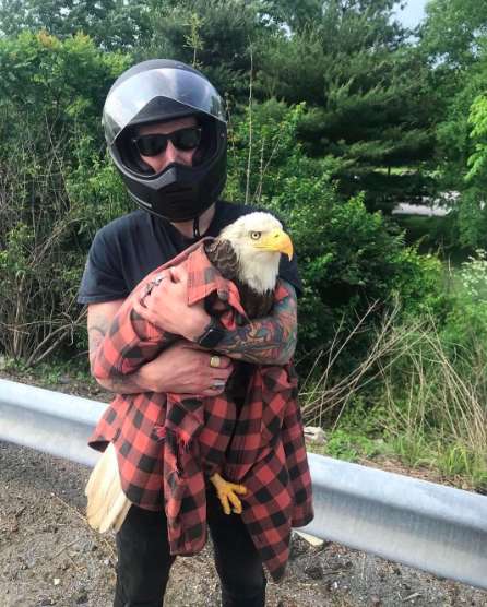 Motorcyclist Sees An Injured Bald Eagle Stuck On Road On Memorial Day Weekend And Saves Him
