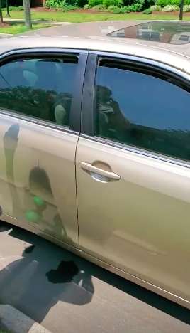 Man Saves a Poor Labrador Dog Stuck In A Hot Car by Breaking The Window