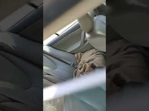 Man Saves a Poor Labrador Dog Stuck In A Hot Car by Breaking The Window
