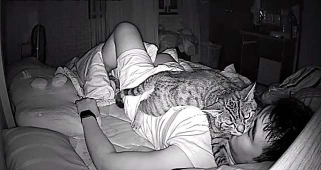 Owner sets up a hidden camera to see what his cat does while he sleeps