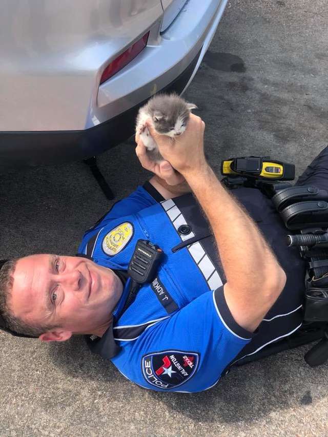 Police Officer Saves Two Kittens and They Could Not Stop Cuddling With Him