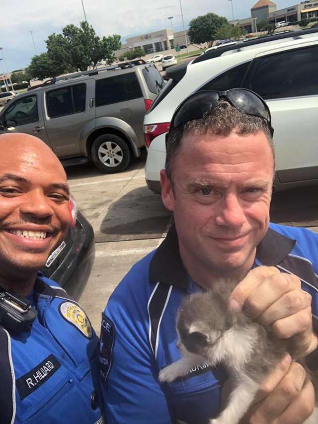Police Officer Saves Two Kittens and They Could Not Stop Cuddling With Him