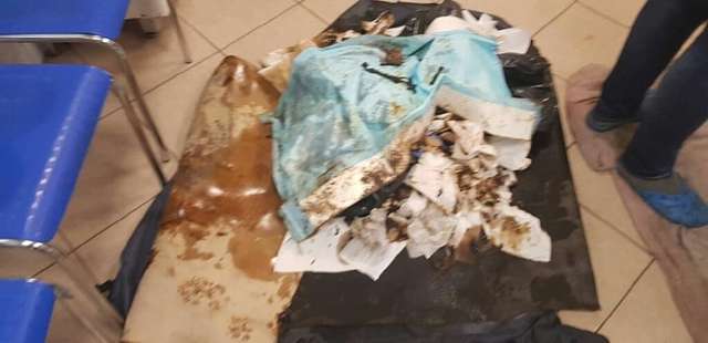 A little dog was trapped in thick tar and kept barking until someone came to help him