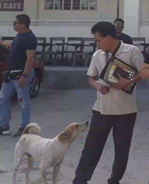 Loyal Dog Waits Here For Weeks For His Loving Deceased Dad To Be Back Once More