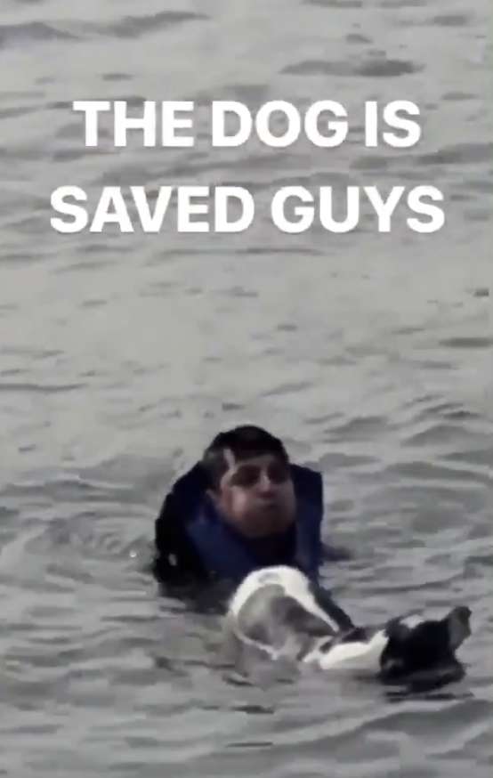 A brave man jumps in the NYC River to save a drowning dog