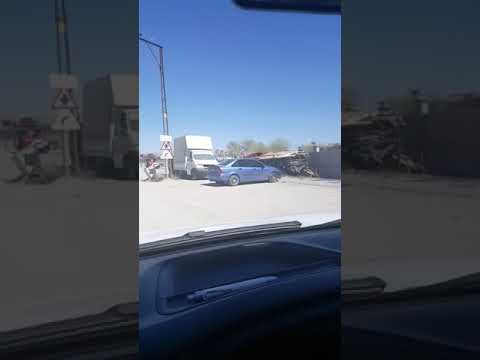 Man Notices A Stray Dog With A Bowl Of Food In Mouth And Then He Follows Her