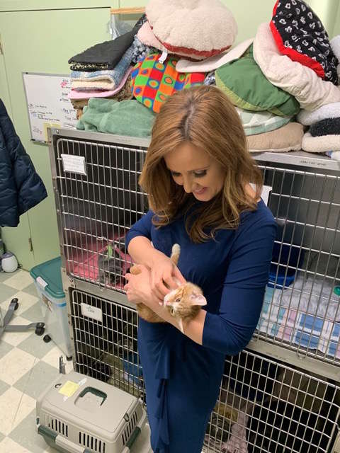 Man sees a kitten with a shoelace tied around its neck