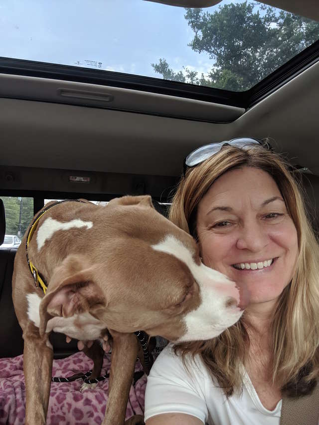 Foster Pitbull Pup Snuggles With Her Foster Mom TO Hear All The Nice Things
