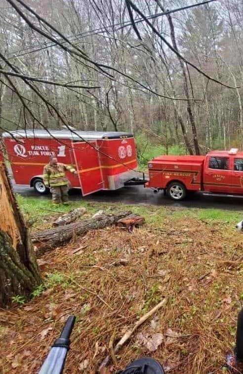 Dog playing in the woods falls accidently into a hole