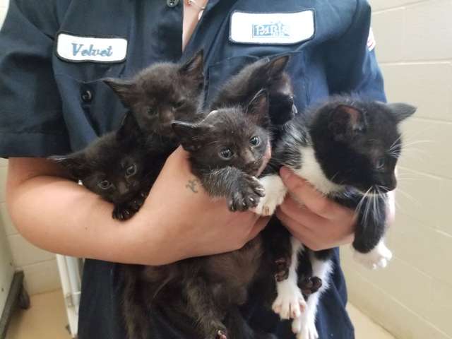 A woman finds something surprising in a box in her backyard