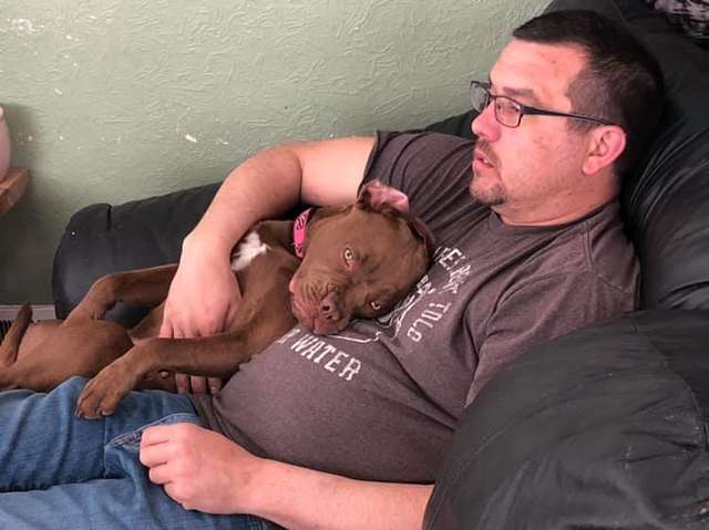 Woman takes a lost dog on a 1300 miles long drive to owner who no longer wants her