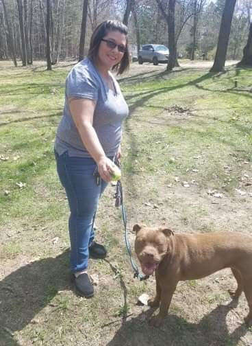 Woman takes a lost dog on a 1300 miles long drive to owner who no longer wants her