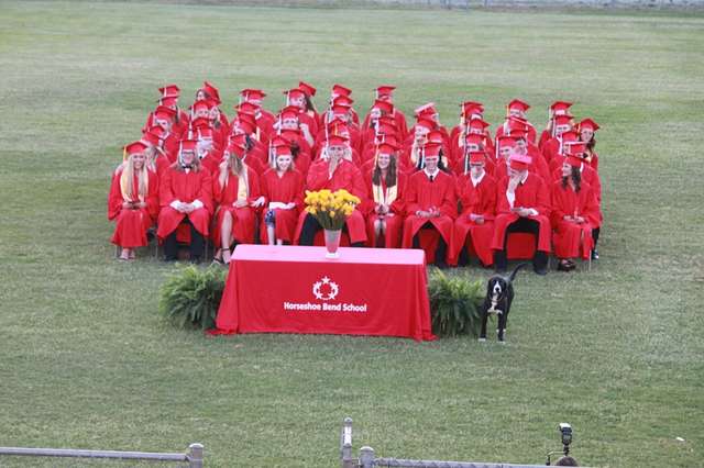 Everyone Bursts Into Laughter At The Graduation Ceremony As A Dog Steals The Show With His Act