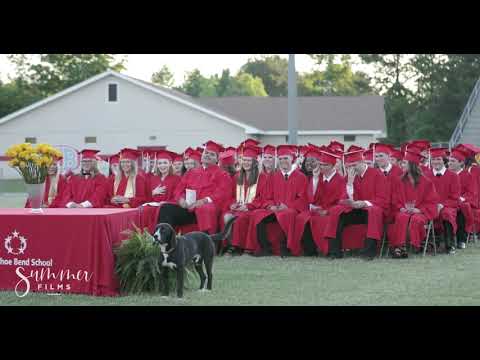 Everyone Bursts Into Laughter At The Graduation Ceremony As A Dog Steals The Show With His Act