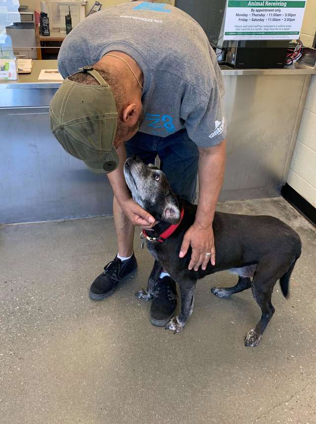 Community rises to help the homeless man and his dog reunite after seeing their heartbreaking goodbye