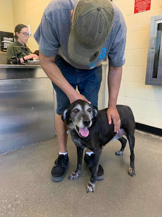 Community rises to help the homeless man and his dog reunite after seeing their heartbreaking goodbye
