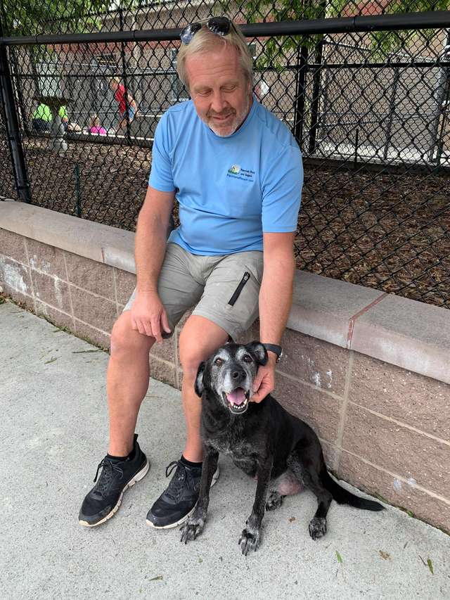 Community rises to help the homeless man and his dog reunite after seeing their heartbreaking goodbye