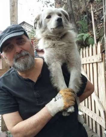 Lost Family Dog Was Living On Streets As A Stray Finally Found By His Family