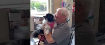 Man Suffers A Stroke and Receives A Visit From A Cutest Visitor in the Hospital