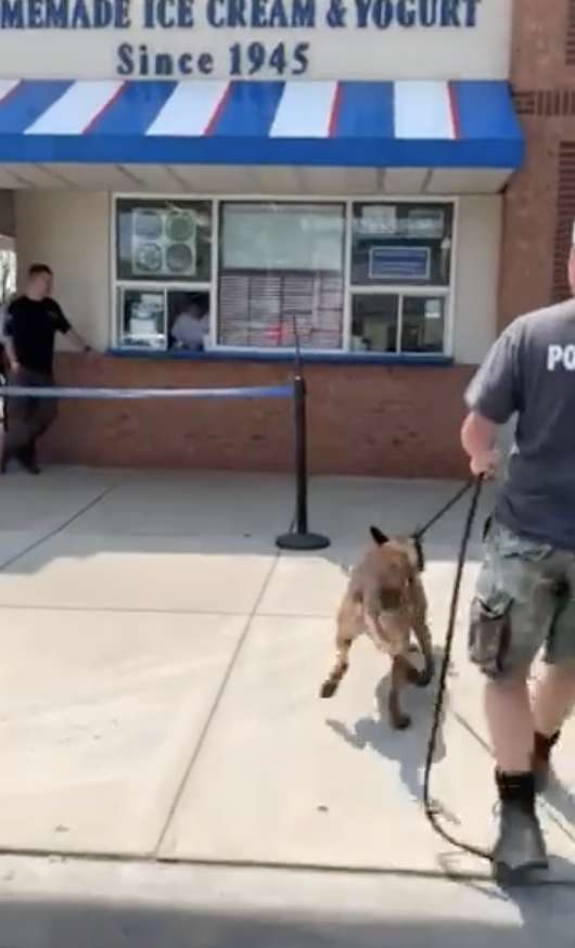 Police Dog Gets Super Excited As He Receives A Special Treat