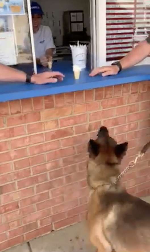 Police Dog Gets Super Excited As He Receives A Special Treat