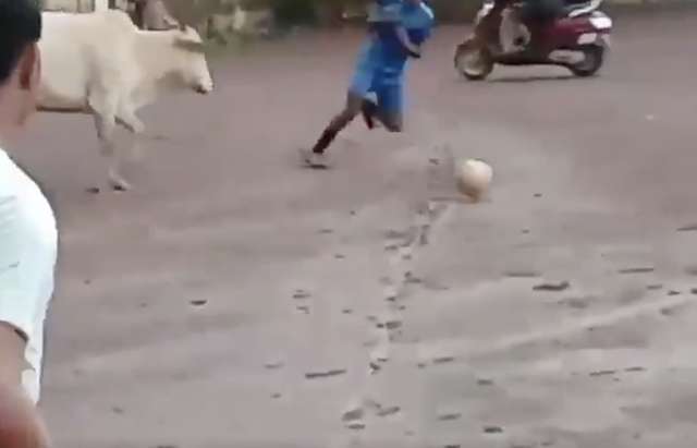 teenagers took the ball away from the bull