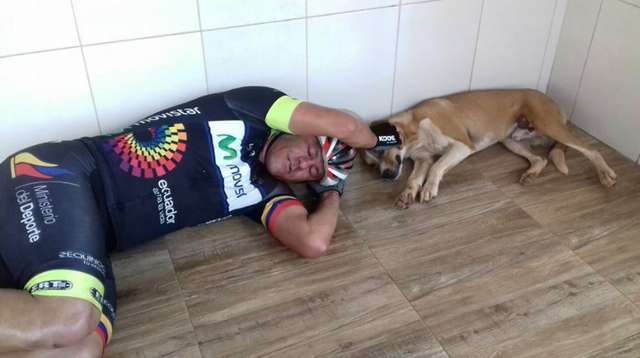 Cyclist Sleeping with Dog