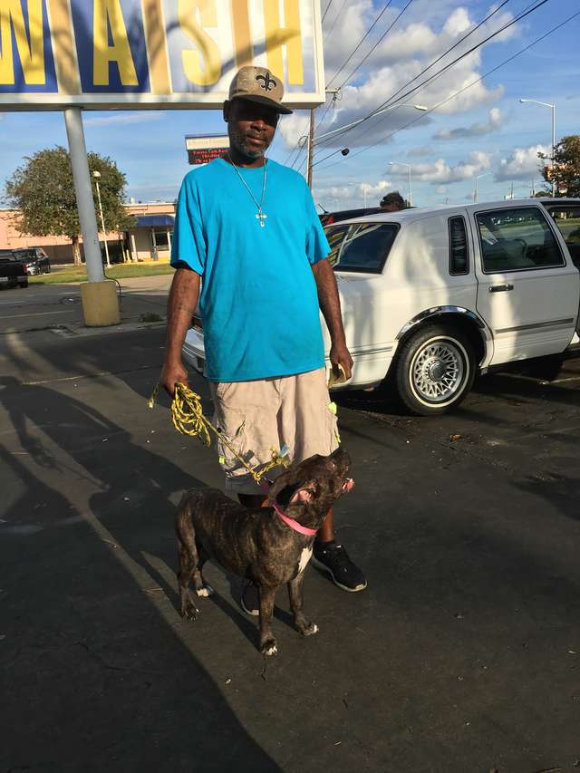 A Black Guy with Pitbull Dog