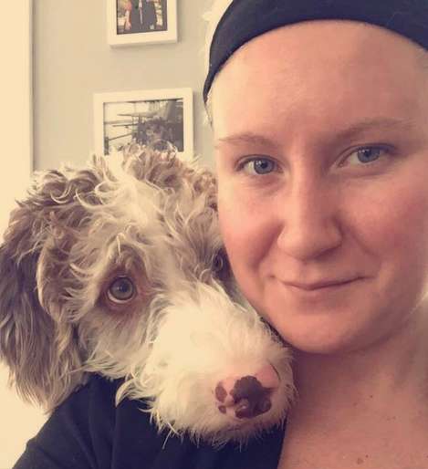 Dog is in disbelief for his owners brought a new dog without asking him
