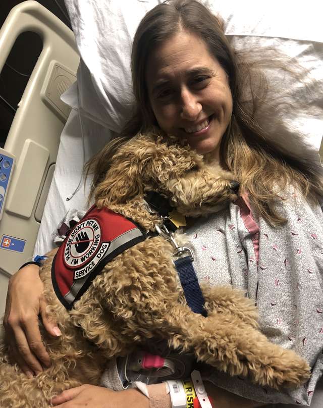 Service Dog Has A Video Call With His Mom From Hospital And Gives The Sweetest Reaction