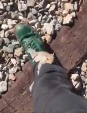 A Squirrel Got Trapped On A Railroad Track And Then Asks A human For help