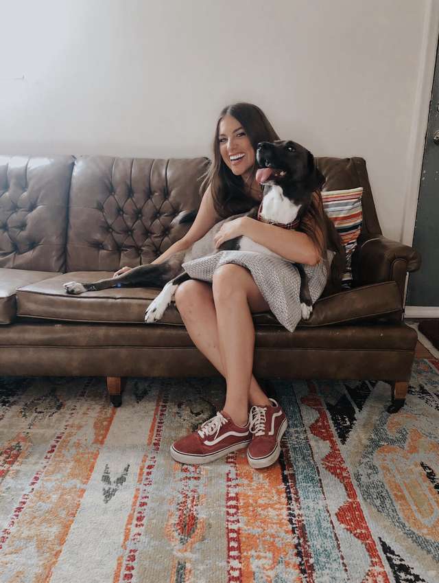 Dog ignores her owner after she picks him up from the vet