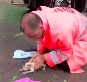 Amazing video shows a city worker saves a drowning cat and bringing it back to life