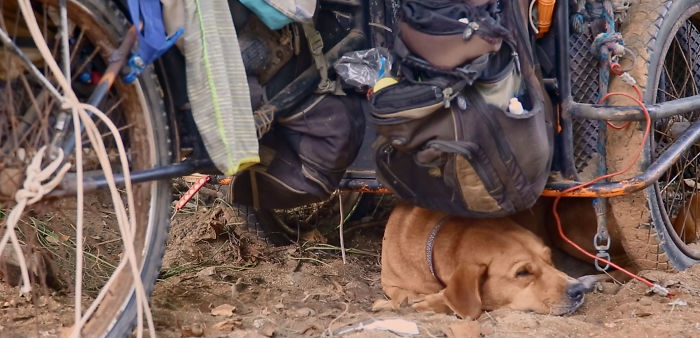 Edgardo Perros, The Man Who Walks Around Mexico With His Trolley In Effort to Save Hundreds Of The Homeless Dogs