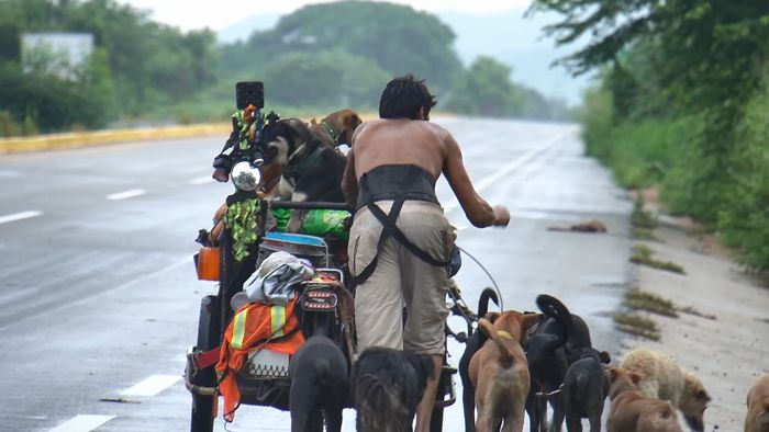 Edgardo Perros, The Man Who Walks Around Mexico With His Trolley In Effort to Save Hundreds Of The Homeless Dogs