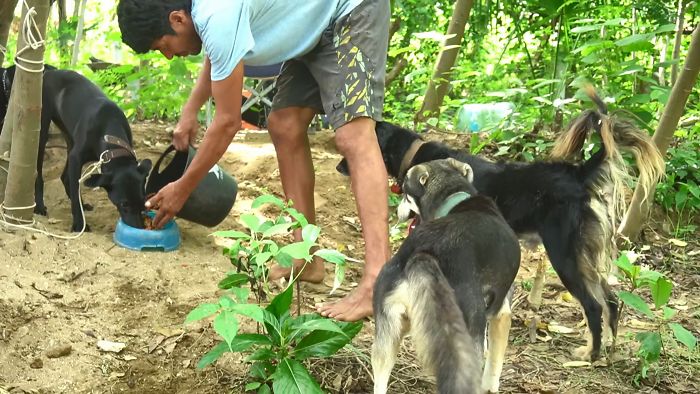 Edgardo Perros, The Man Who Walks Around Mexico With His Trolley In Effort to Save Hundreds Of The Homeless Dogs