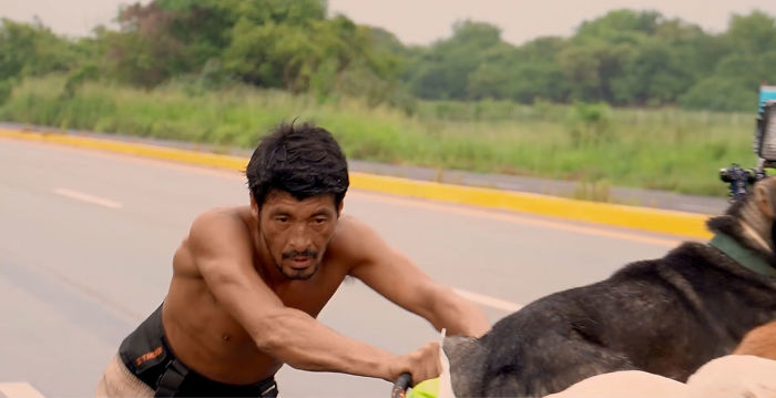Edgardo Perros, The Man Who Walks Around Mexico With His Trolley In Effort to Save Hundreds Of The Homeless Dogs