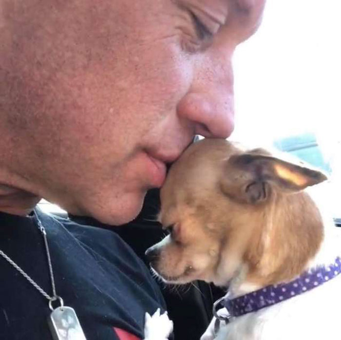 Man Used To Make Fun Of Little Dogs But Then Get Saved By One Chihuahua And Now He Spends His Life Rescuing Them