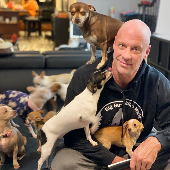 Man Used To Make Fun Of Little Dogs But Then Get Saved By One Chihuahua And Now He Spends His Life Rescuing Them